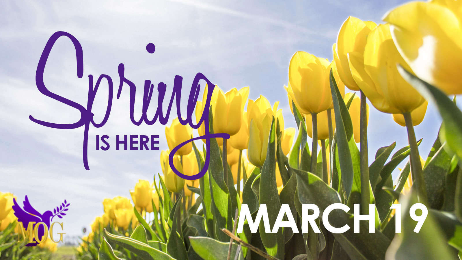 Spring Begins March 19